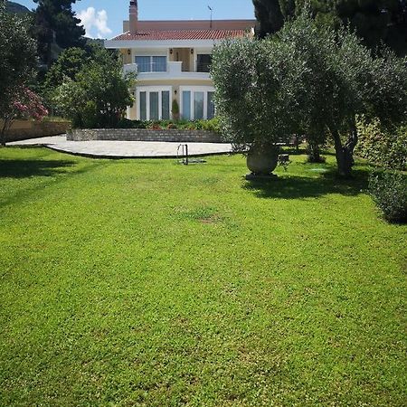 Villa Vasiliki Palaiontsiflikion Exterior photo
